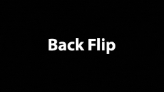 Back Flip.ffx